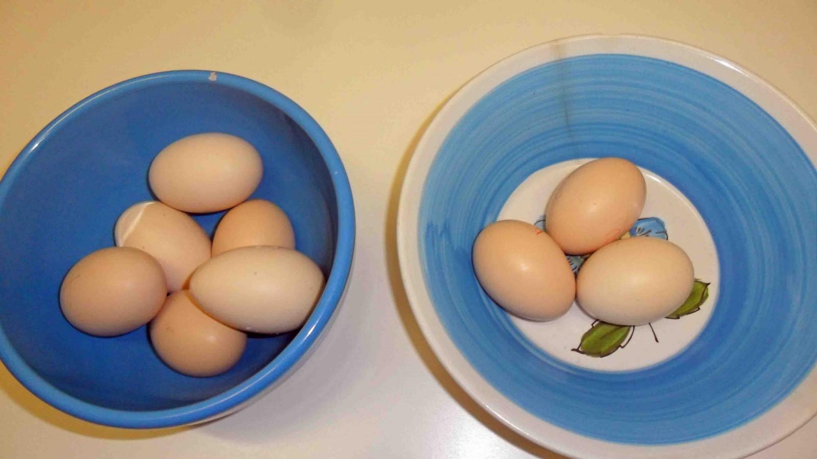 Eggsperiment 7. Tag: Rechts die befruchteten Eier, links die drei, in denen wir nichts finden konnten. Eien kurze Unterbrechung der Brut schadet den Eiern übrigens nicht. Schliesslich nimmt sich auch eine Henne immer wieder kurze Auszeiten.